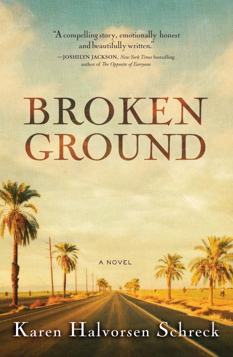 Cover image for book Broken Ground
