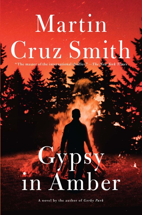 Cover image for book Gypsy in Amber