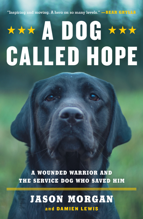 Cover image for book A Dog Called Hope