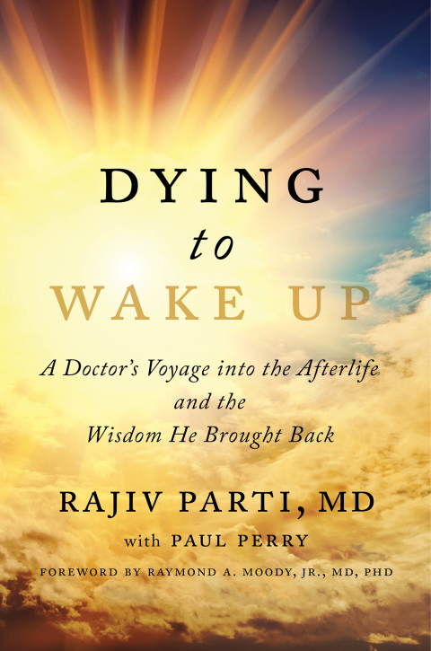 Cover image for book Dying to Wake Up