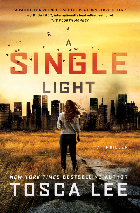 Cover image for book A Single Light