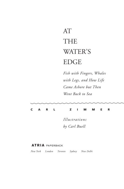 Cover image for book At the Water's Edge