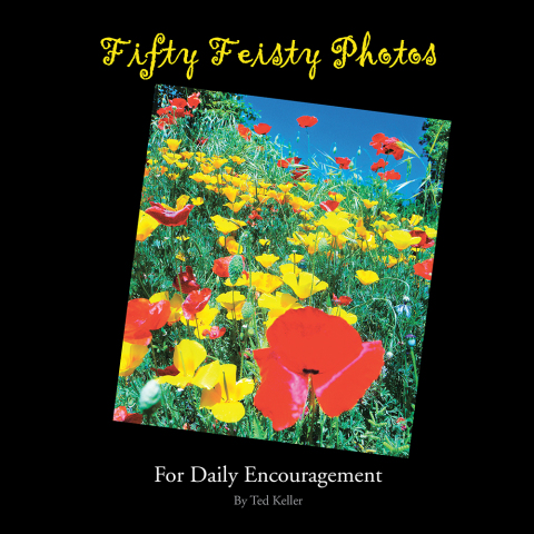 Cover image for book Fifty Feisty Photos