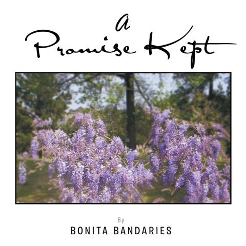 Cover image for book A Promise Kept
