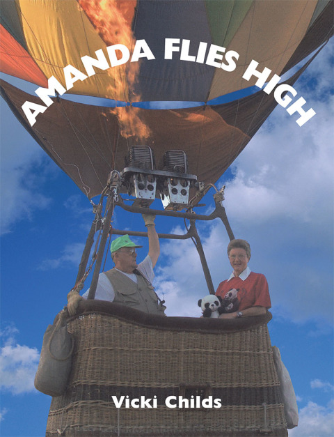 Cover image for book Amanda Flies High