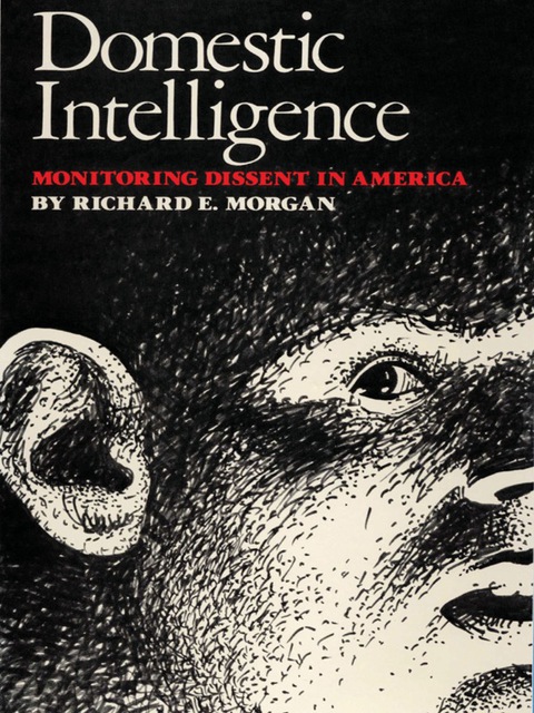 Cover image for book Domestic Intelligence