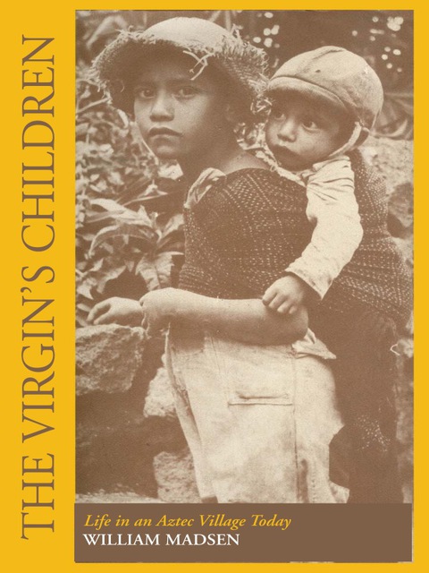 Cover image for book The Virgin's Children