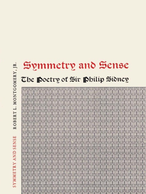 Cover image for book Symmetry and Sense