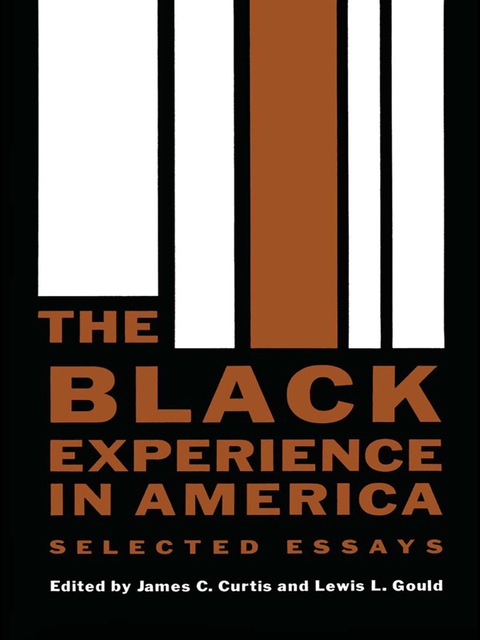 Cover image for book The Black Experience in America