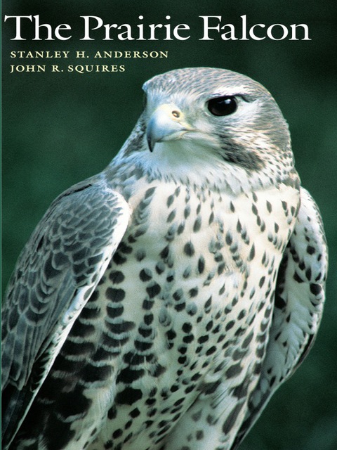 Cover image for book The Prairie Falcon