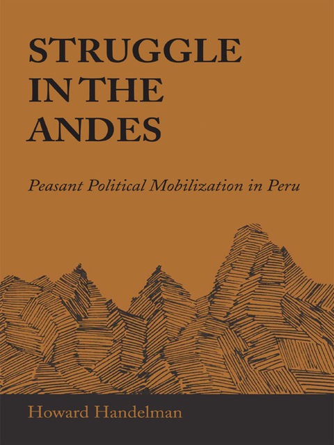 Cover image for book Struggle in the Andes