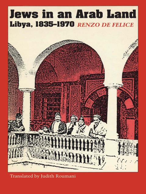 Cover image for book Jews in an Arab Land