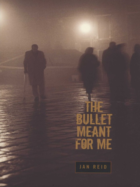Cover image for book The Bullet Meant for Me