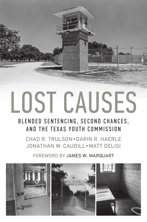 Cover image for book Lost Causes