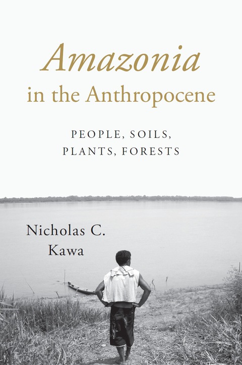 Cover image for book Amazonia in the Anthropocene