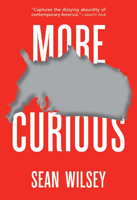 Cover image for book More Curious