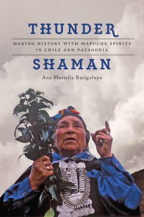 Cover image for book Thunder Shaman