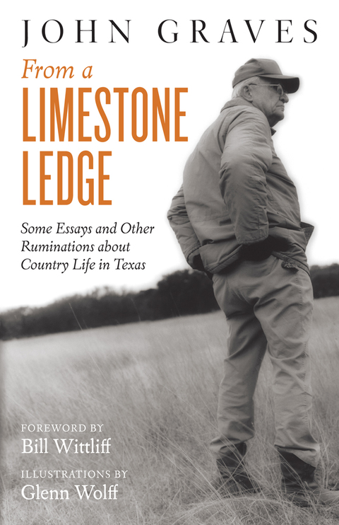Cover image for book From a Limestone Ledge