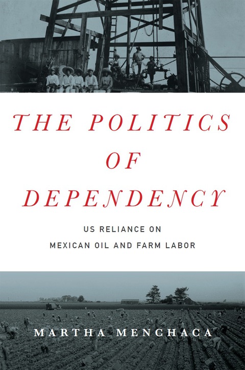 Cover image for book The Politics of Dependency