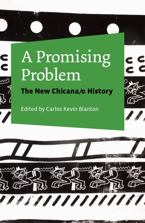Cover image for book A Promising Problem