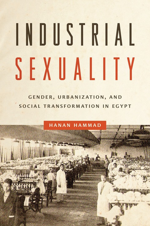 Cover image for book Industrial Sexuality