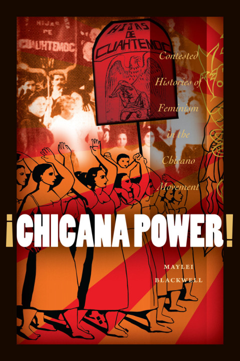 Cover image for book ¡Chicana Power!