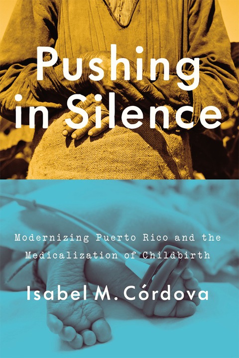Cover image for book Pushing in Silence