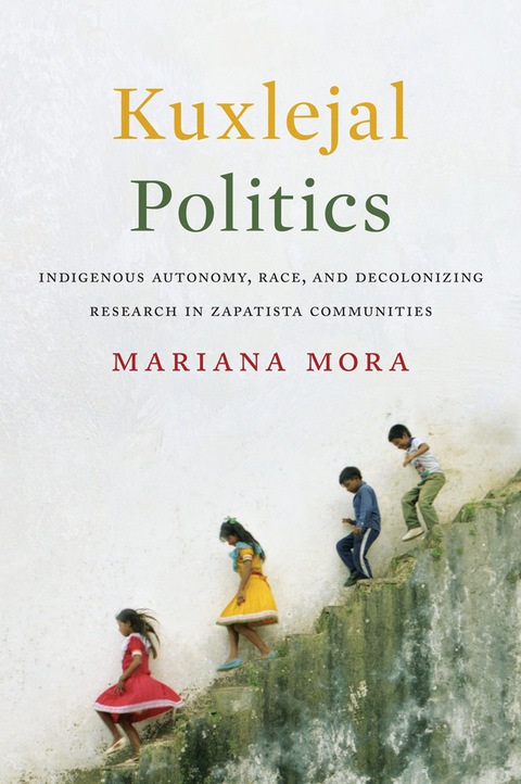 Cover image for book Kuxlejal Politics