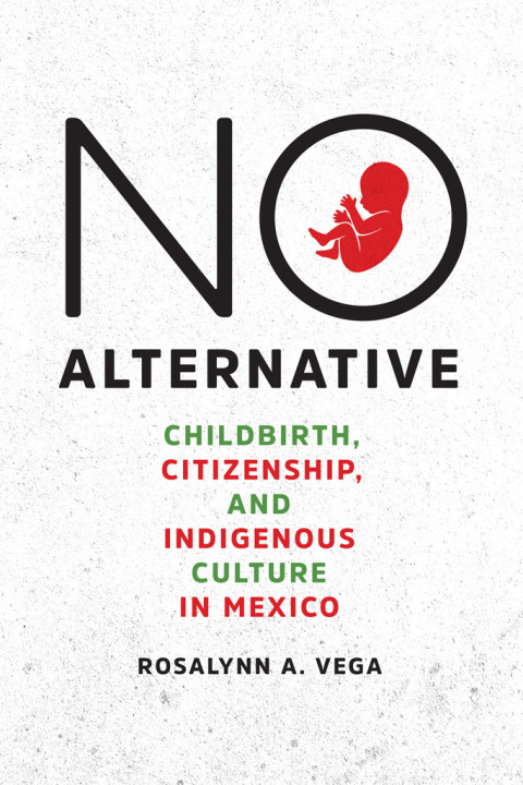 Cover image for book No Alternative
