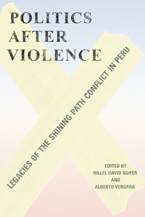 Cover image for book Politics after Violence