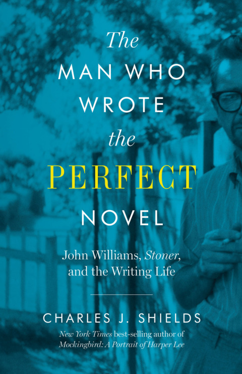 Cover image for book The Man Who Wrote the Perfect Novel