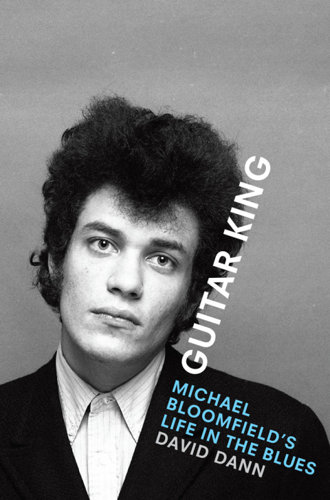 Cover image for book Guitar King