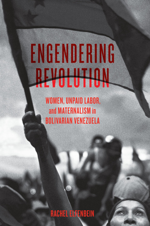 Cover image for book Engendering Revolution