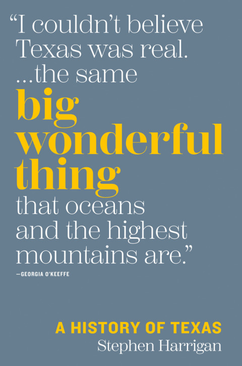 Cover image for book Big Wonderful Thing