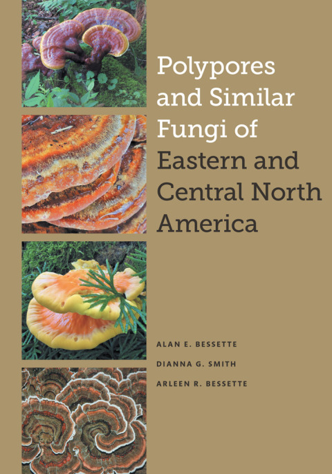 Cover image for book Polypores and Similar Fungi of Eastern and Central North America