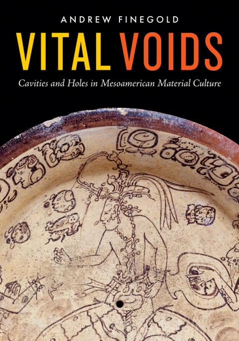 Cover image for book Vital Voids
