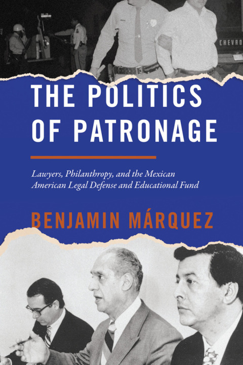 Cover image for book The Politics of Patronage