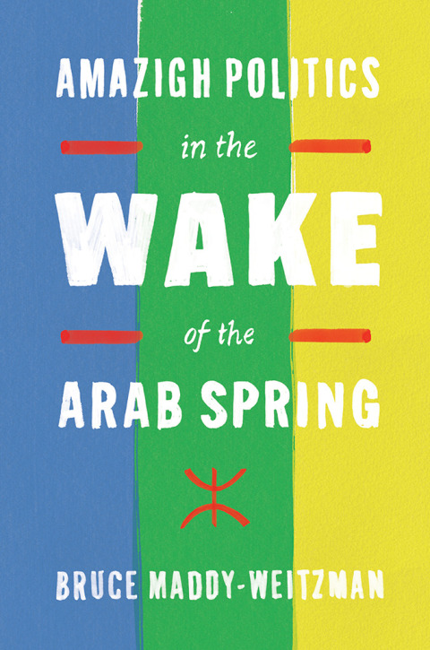 Cover image for book Amazigh Politics in the Wake of the Arab Spring