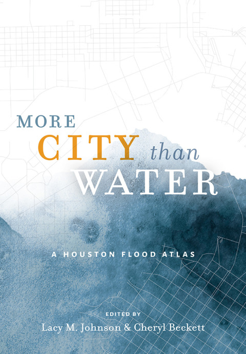 Cover image for book More City than Water