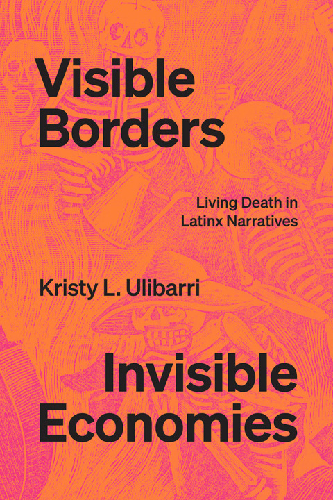 Cover image for book Visible Borders, Invisible Economies