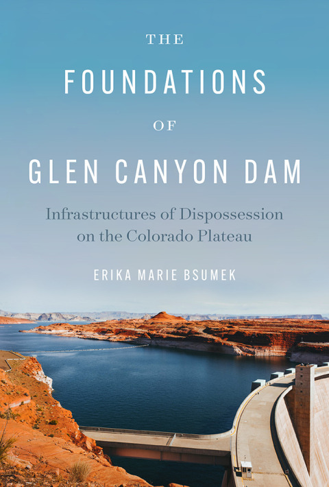 Cover image for book The Foundations of Glen Canyon Dam