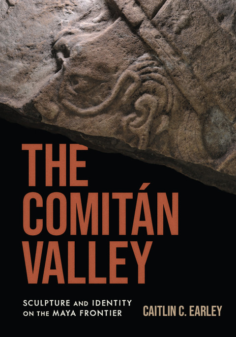 Cover image for book The Comitán Valley