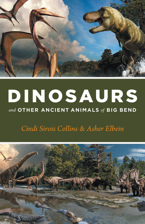 Cover image for book Dinosaurs and Other Ancient Animals of Big Bend