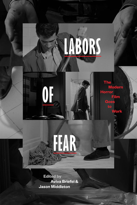 Cover image for book Labors of Fear