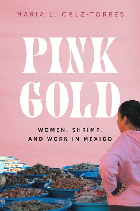 Cover image for book Pink Gold