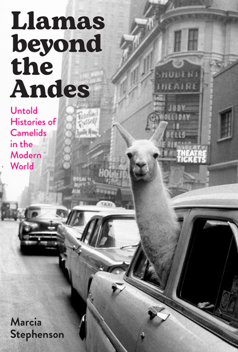 Cover image for book Llamas beyond the Andes