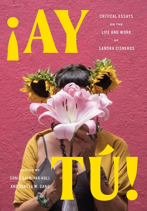 Cover image for book Ay Tú!
