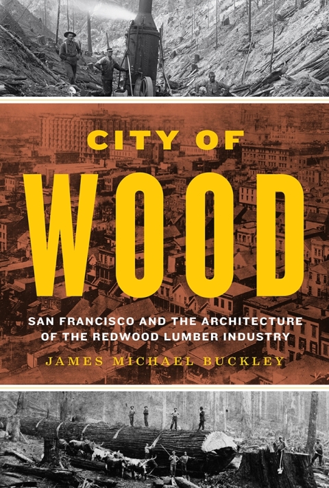 Cover image for book City of Wood