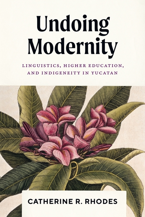 Cover image for book Undoing Modernity