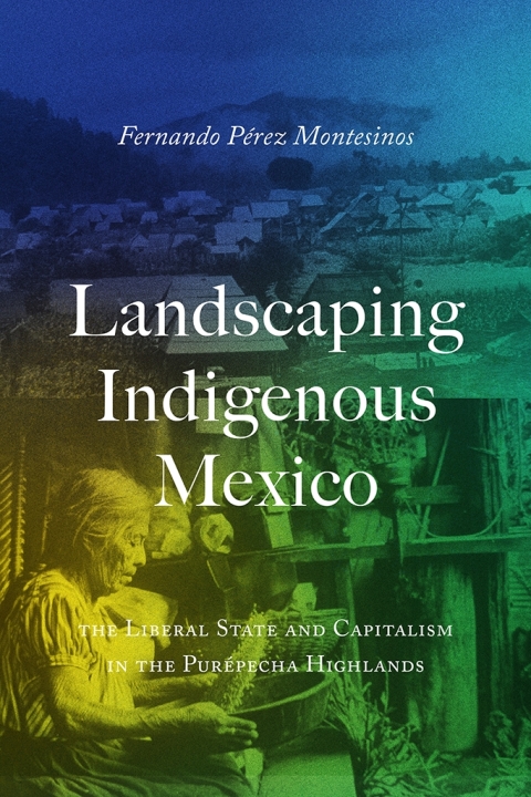 Cover image for book Landscaping Indigenous Mexico